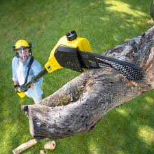 Best Tree Mulching Services  in USA